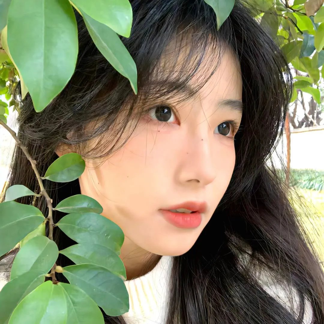 万神殿第二季